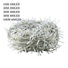 Enchanting Xmas LED String Lights - 100M & More ATHLEXES