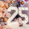 Giant LED Birthday Number Frame for Celebrations ATHLEXES