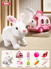 CuddleHop Interactive Dancing Rabbit Toy ATHLEXES