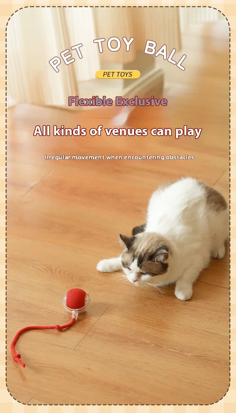 Interactive Cat Toys Ball Auto Electric Rolling Ball Toys for Cats/Kitty Pets Smart Automatic Teaser USB Rechargeable ATHLEXES