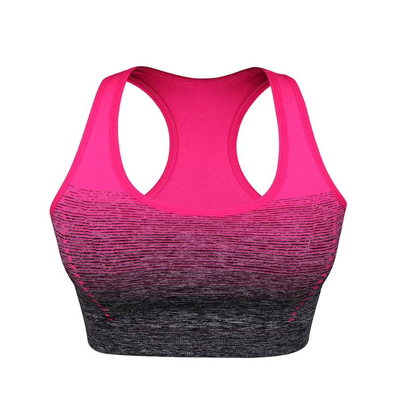 ElevateFit Seamless Sports Bra ATHLEXES