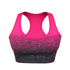 ElevateFit Seamless Sports Bra ATHLEXES