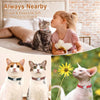 Engraved Luxury PU Leather Cat Collar ATHLEXES