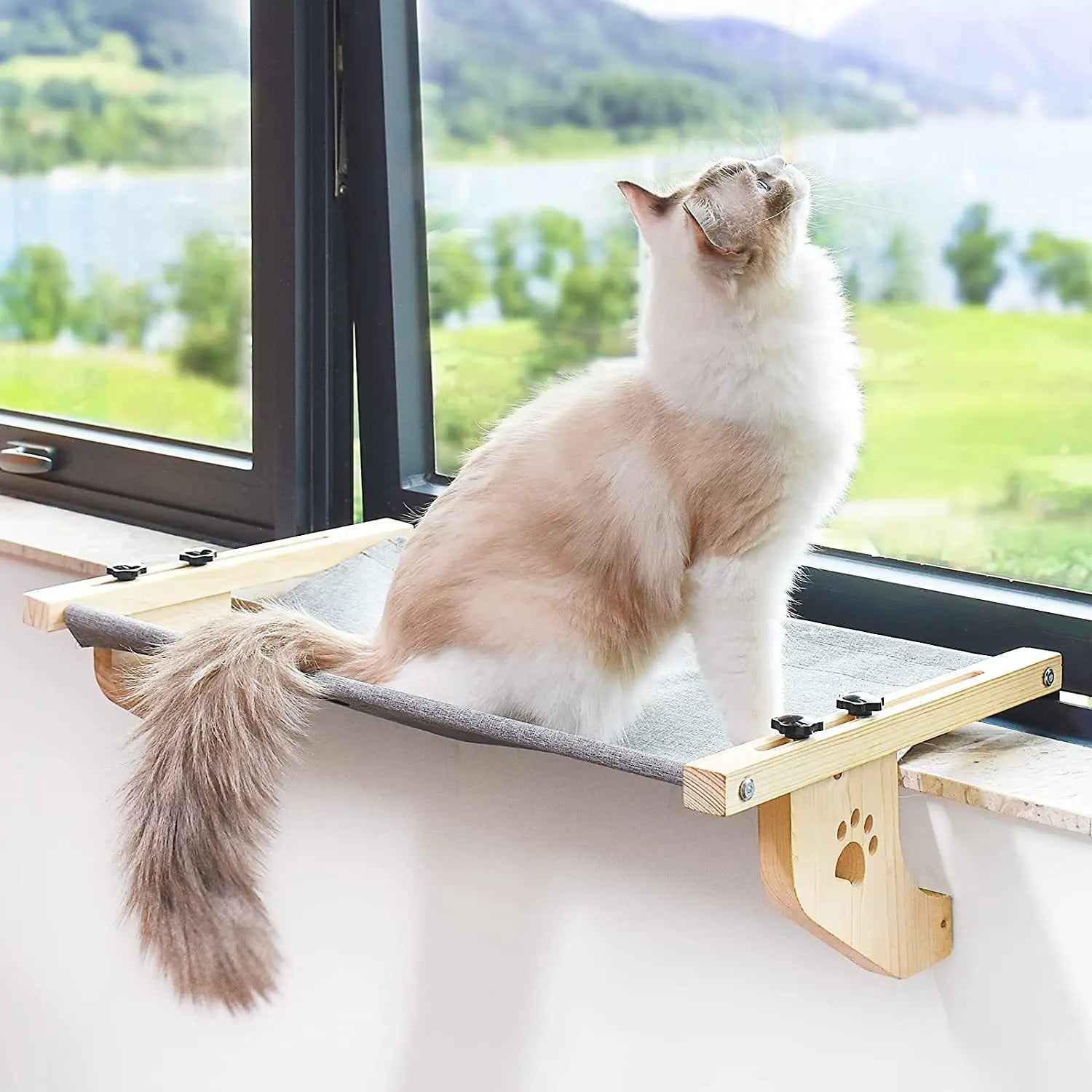 Window Hanging Cat Bed Portable Removable Balcony Cat Hanging Hammock Wooden Assembly Indoor Bedside Bed Pet Nest ATHLEXES