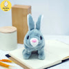 files/S8e11800a96a3457abf9c869e0db345531.webp