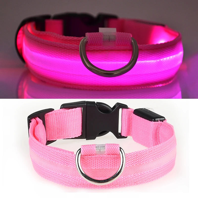 LED Glowing Dog Collar ATHLEXES