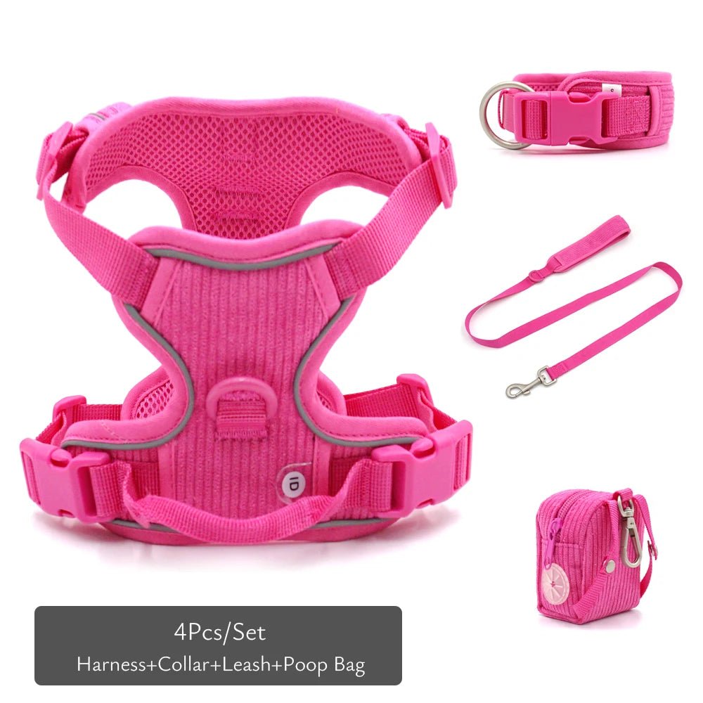 Personalized Reflective Dog Collar & Leash Set ATHLEXES