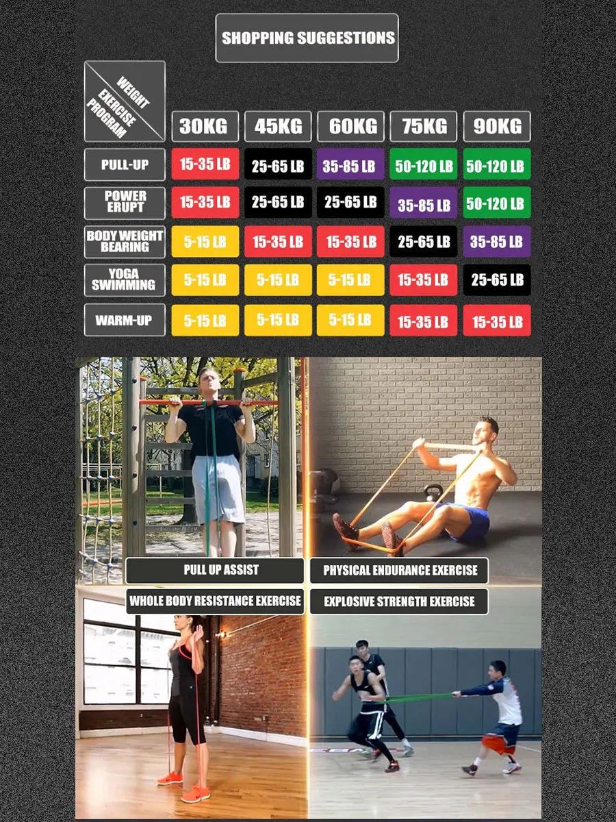 PowerFlex Resistance Bands for Total Body Workout ATHLEXES