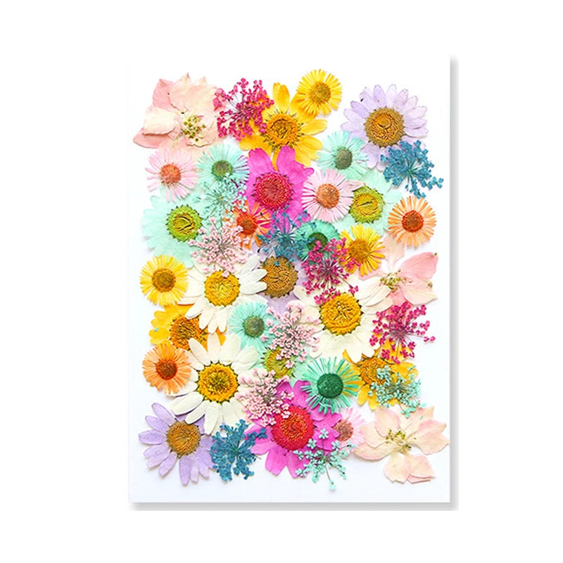 Pressed Floral Epoxy Kit for DIY Jewelry Crafts ATHLEXES
