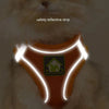 Reflective Cat Harness Set with Adjustable Leash for Small Pets ATHLEXES