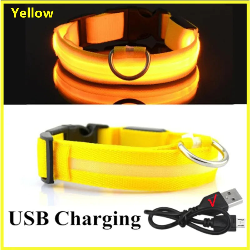 USB Charging LED Dog Collar ATHLEXES