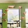 Wall-Mounted Wooden Cat Shelves ATHLEXES