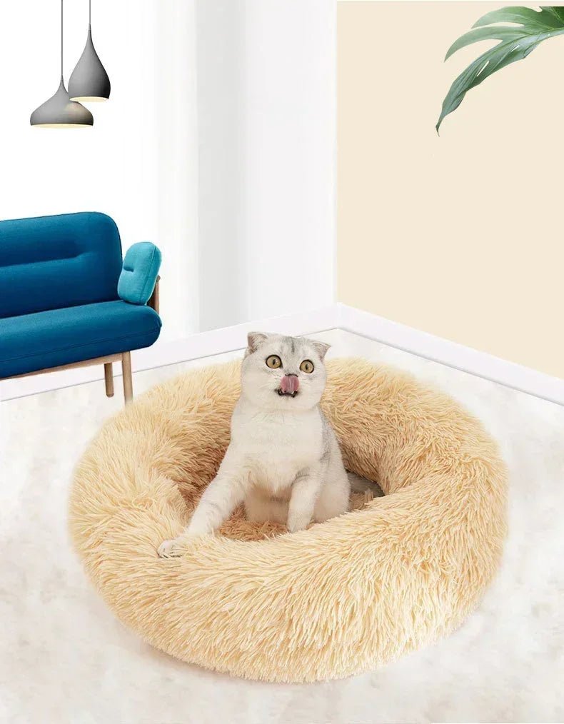 Cats Bed House Donut Round Sofa Supplies Winter Pet Accessories Warm Products Cushions Basket Kitten Mat For Cat Dog Beds ATHLEXES