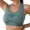 ActiveFit Seamless Sports Bra Top ATHLEXES