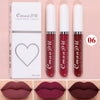 Sexy Velvet Matte Lip Gloss ATHLEXES