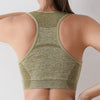 ActiveFit Seamless Sports Bra Top ATHLEXES