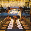 Enchanting LED Fairy Curtain Lights for Outdoor Decor ATHLEXES