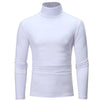 Sleek Casual Basic Turtleneck ATHLEXES