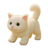 CuddleBot Interactive Robot Cat Toy ATHLEXES