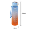 HydraMark 1L Gradient Time-Marker Water Bottle ATHLEXES