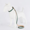 Luxury Snakeskin Soft Leather Pet Collar & Leash Set ATHLEXES