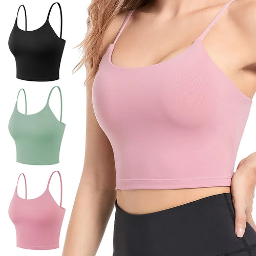  ATHLEXES
