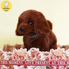 Plush Interactive Puppy Toy for Kids ATHLEXES