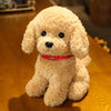 Realistic Teddy Dog Plush Toy for Kids ATHLEXES