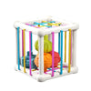 Montessori Shape Sorter Cube â?? Rainbow Blocks for Infants ATHLEXES