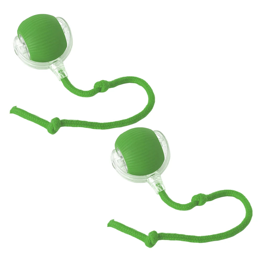 PlayFetch Automatic Ball Toys for Cats and Dogs ATHLEXES