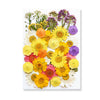 Pressed Floral Epoxy Kit for DIY Jewelry Crafts ATHLEXES