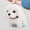 Interactive Plush Bunny Toy with Sound and Movement ATHLEXES