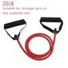 Premium Resistance Bands With Handles For Strength Training ATHLEXES