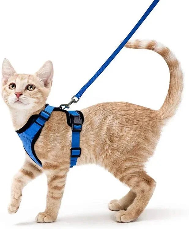 Cat Harness Lead Leash Set Walking Training Escape Proof Adjustable Reflective Pet Vest Harness Kitten Collar Pet Supplies ATHLEXES