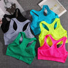 ElevateFit Push Up Sports Bra for Active Women ATHLEXES