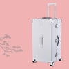 Colenara Premium Rolling Luggage Collection ATHLEXES