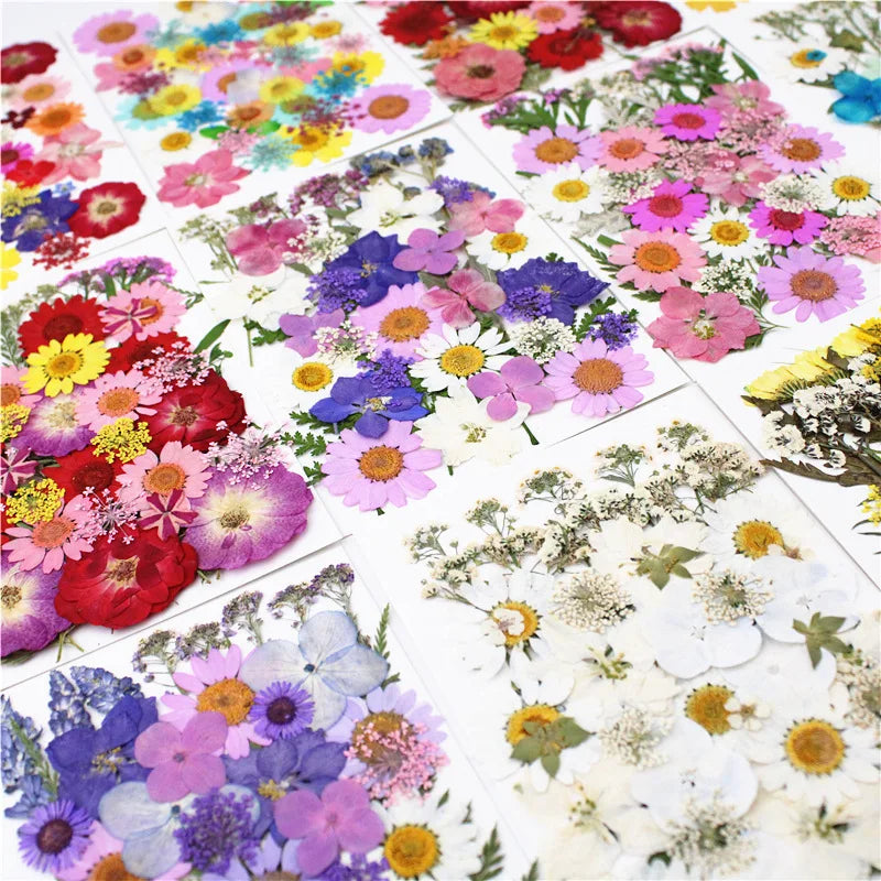 Pressed Floral Epoxy Kit for DIY Jewelry Crafts ATHLEXES