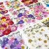 Pressed Floral Epoxy Kit for DIY Jewelry Crafts ATHLEXES