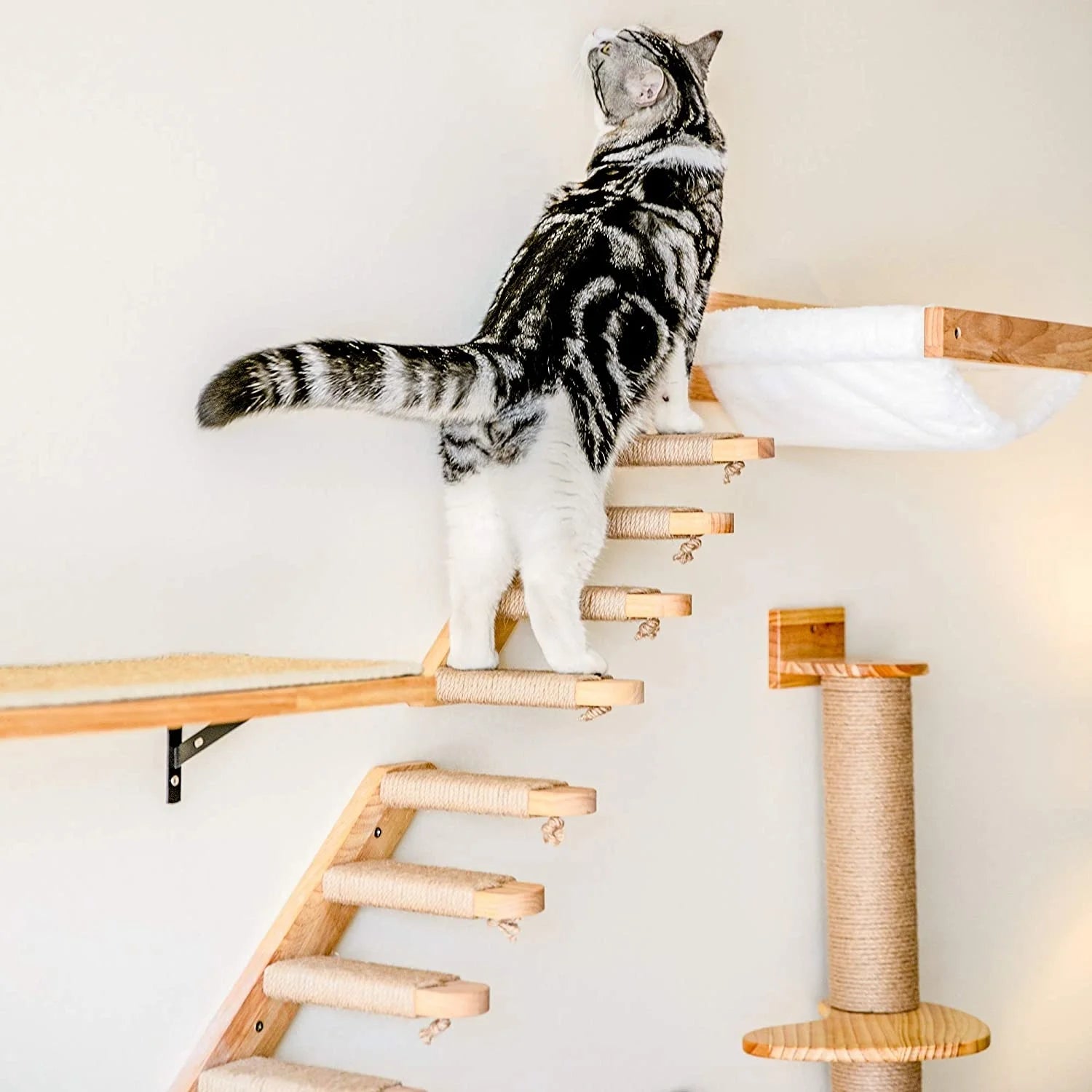 Wall-Mounted Cat Hammock & Climbing Post ATHLEXES