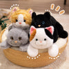 files/Sa757ab0463db41babf280ae3185c6871e.webp