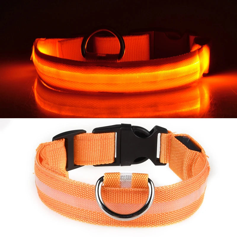 LED Glowing Dog Collar ATHLEXES