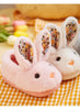CozyRabbit Plush Kids Indoor Winter Slippers ATHLEXES