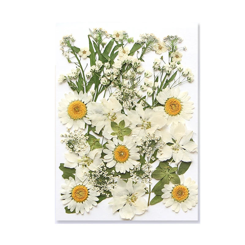 Pressed Floral Epoxy Kit for DIY Jewelry Crafts ATHLEXES