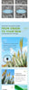 LIPNOURISH Vitamin C Aloe Lip Balm ATHLEXES