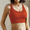 AthleteFit Seamless Push Up Sports Bra ATHLEXES