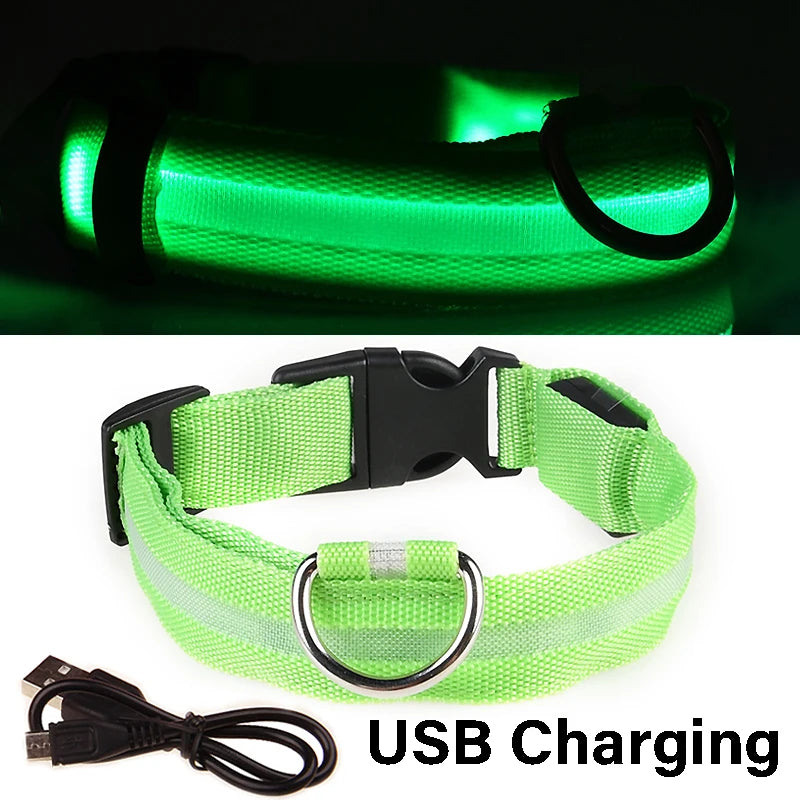 LED Glowing Dog Collar ATHLEXES