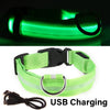 LED Glowing Dog Collar ATHLEXES