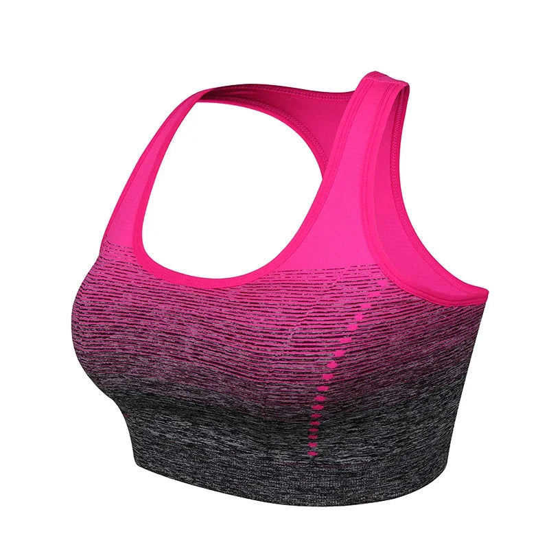 ElevateFit Seamless Sports Bra ATHLEXES
