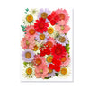 Pressed Floral Epoxy Kit for DIY Jewelry Crafts ATHLEXES