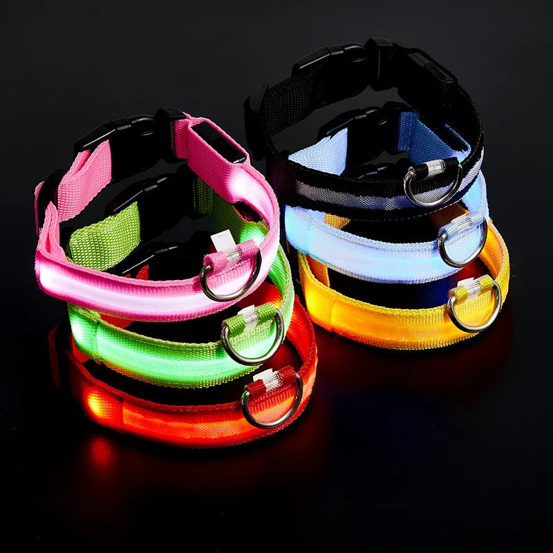 LED Glowing Dog Collar ATHLEXES